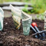 a garden with money and gardening tools in the dirt