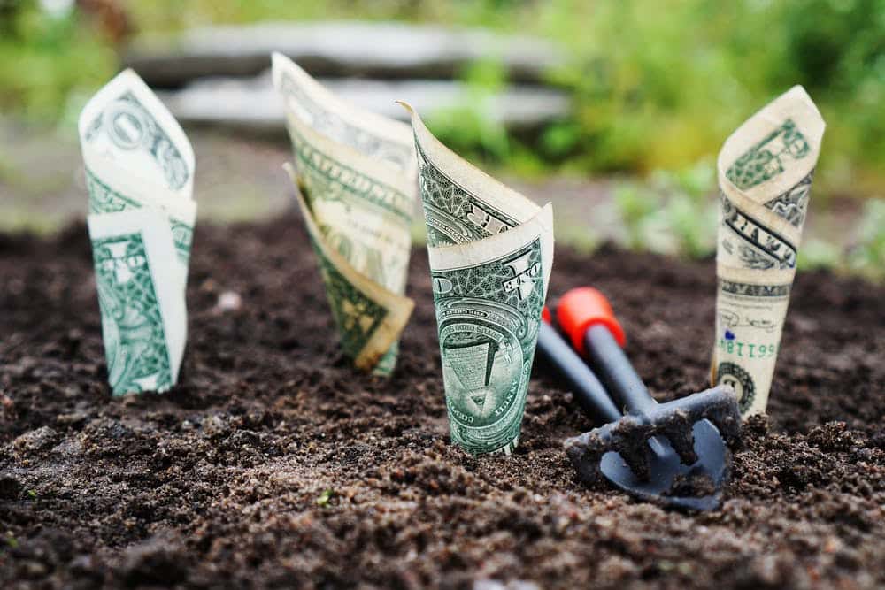 a garden with money and gardening tools in the dirt